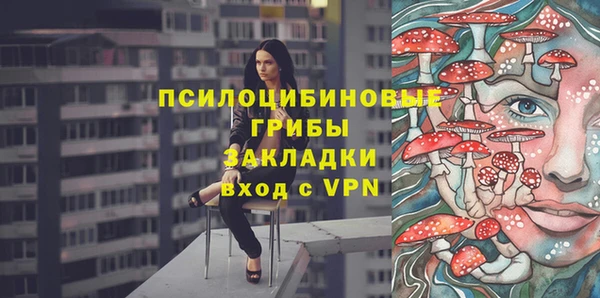 крисы Алексеевка