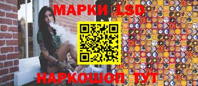 индика Гусев