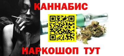 индика Гусев