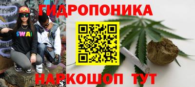 индика Гусев