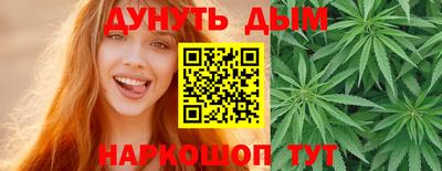 индика Гусев