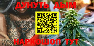 индика Гусев