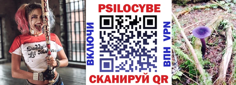 MEGA ссылка  Менделеевск  Псилоцибиновые грибы прущие грибы  хочу  