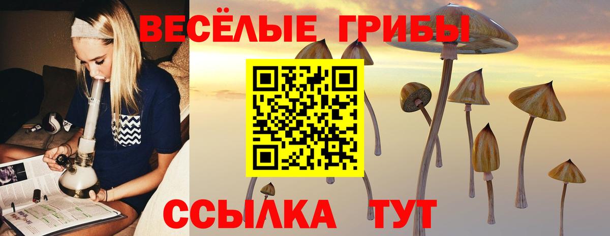 Псилоцибиновые грибы мухоморы Менделеевск